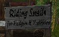 Thumbnail for version as of 14:48, 29 March 2008